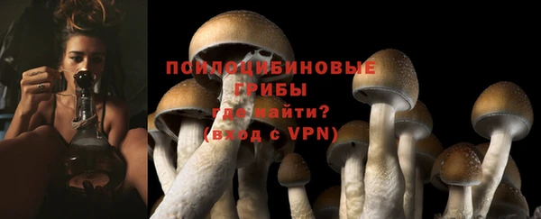 крисы Вяземский