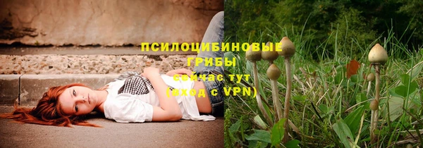 ПСИЛОЦИБИНОВЫЕ ГРИБЫ Нефтегорск