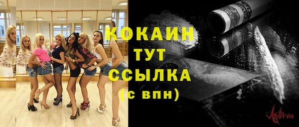 ешки Вязьма